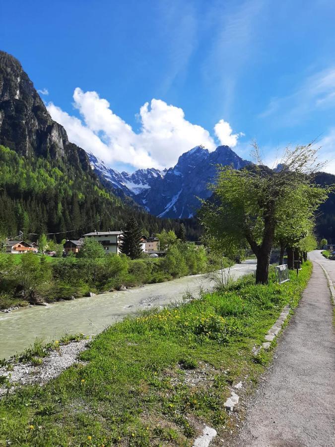Hirsch Haus Διαμέρισμα Santo Stefano Di Cadore Εξωτερικό φωτογραφία